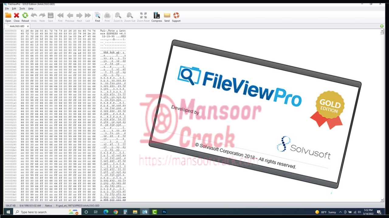 Free Download FileViewPro Activation Key