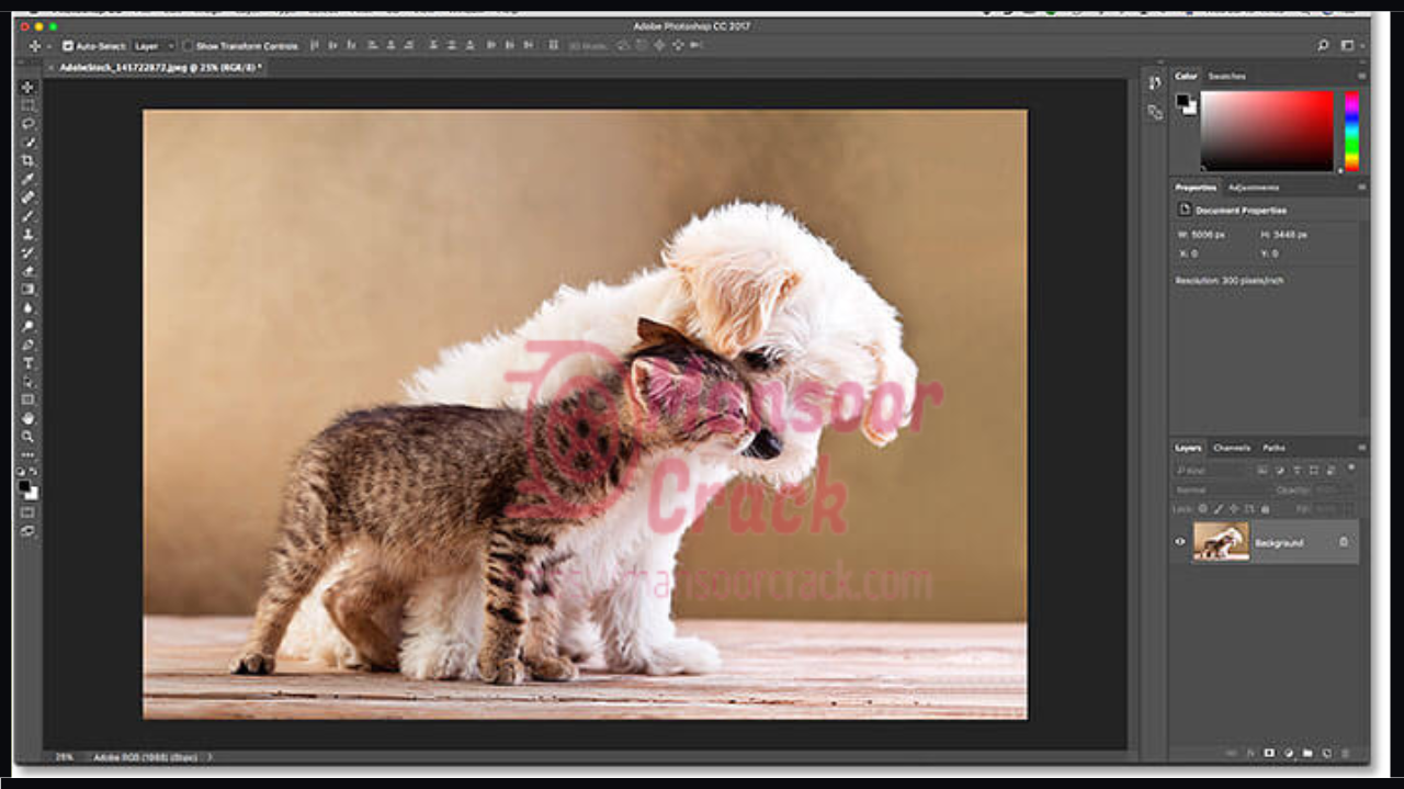 Torrent Adobe Photoshop Latest Version Free Download