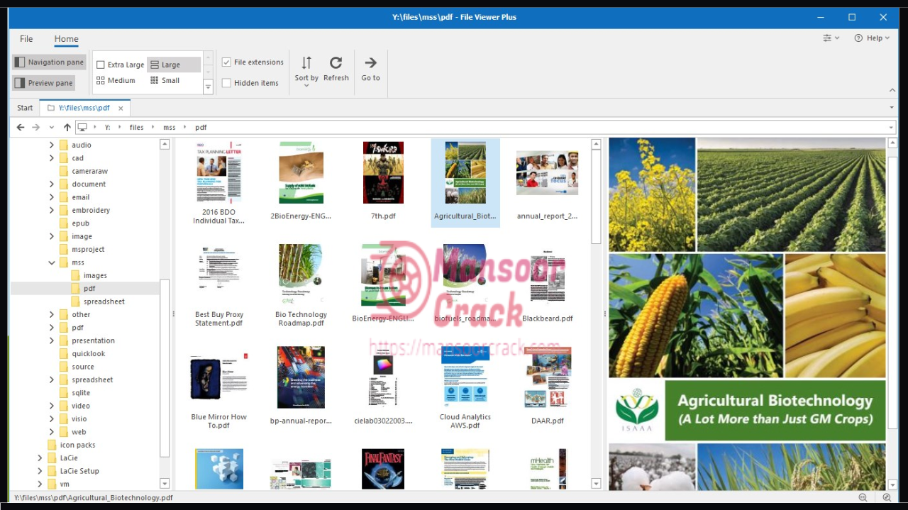File Viewer Plus Crack with Serial Key Free Download